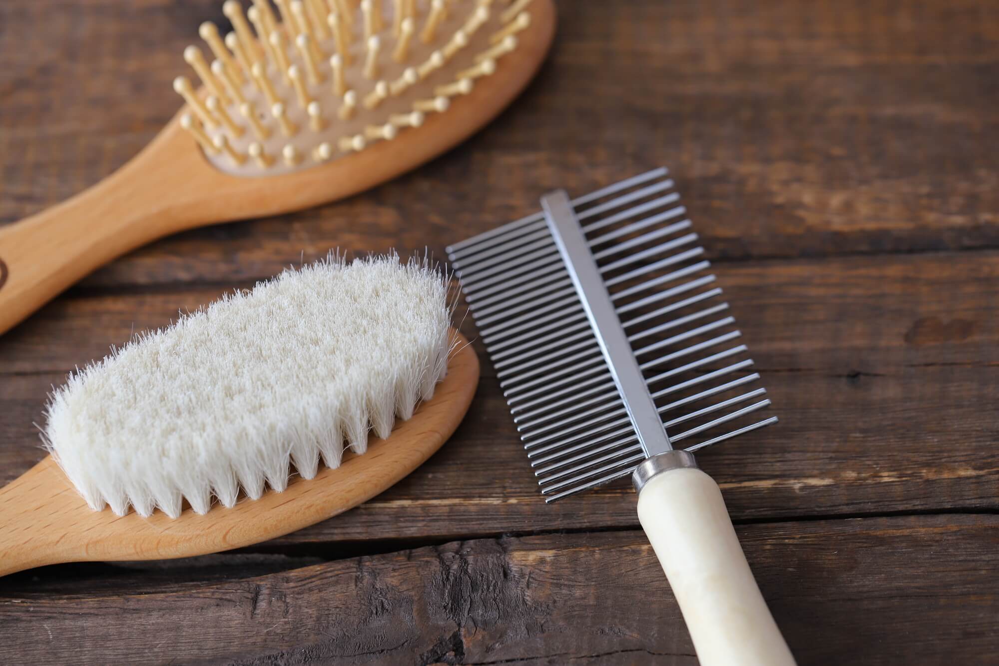 ペキニーズの抜け毛・お手入れの基本